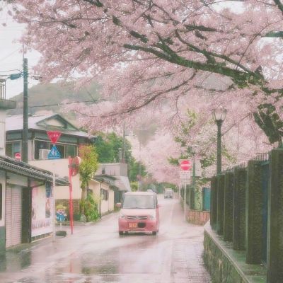 换装大佬免费下载